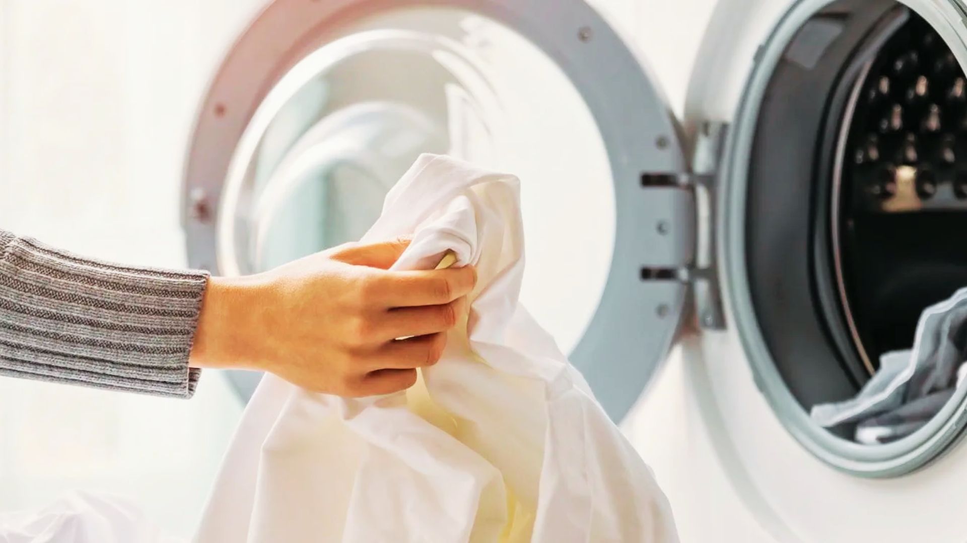 Hand holding a white garment by an open washer, ready for deep cleaning with the sanitize cycle.
