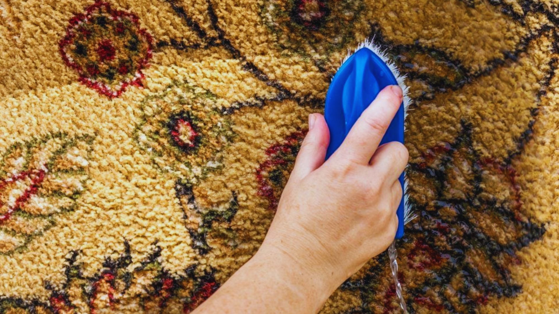 A hand using a blue squeegee tool to scrape and clean a patterned carpet.