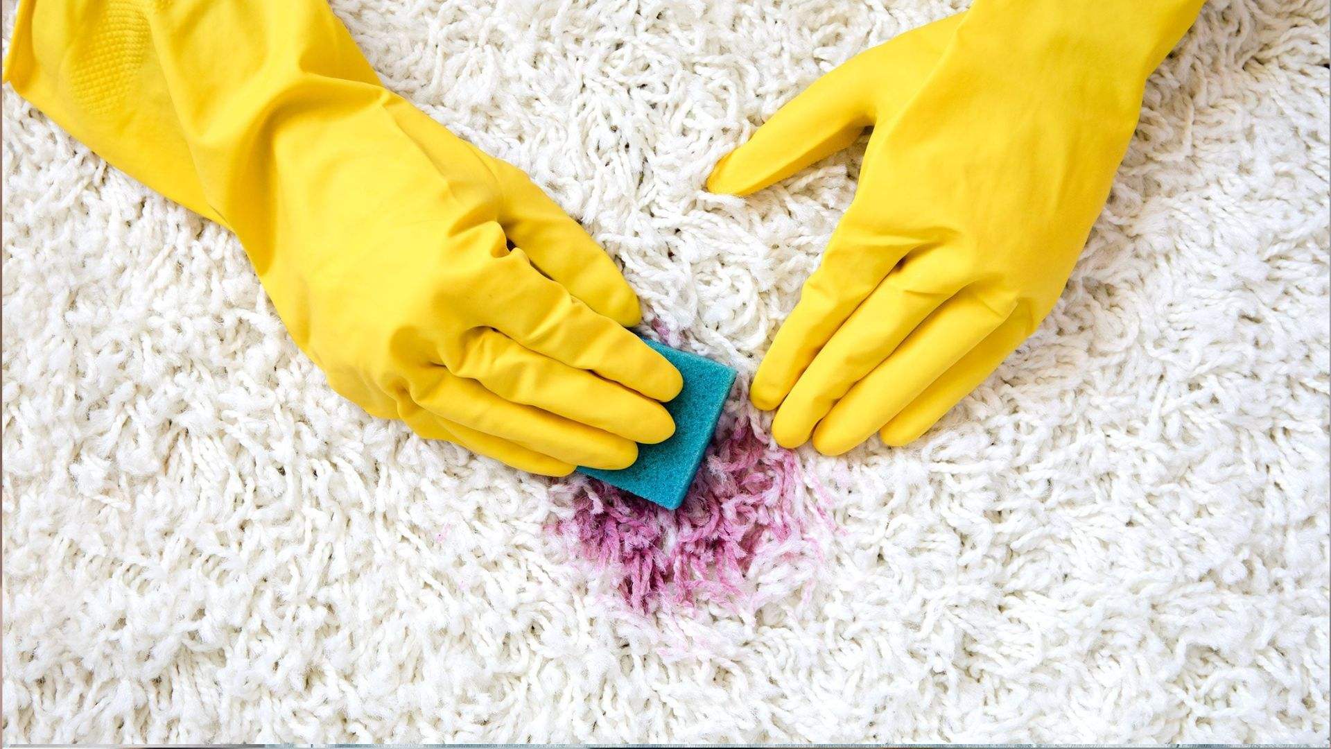 Hands wearing bright yellow rubber gloves scrubbing a pinkish-red wine stain on a white shag carpet using a small teal blue sponge.